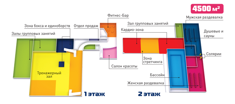 Групповые занятия алекс фитнес максимир воронеж. Схема фитнес зала. Максимир схема этажей. Алекс фитнес Коломенское схема зала. Алекс фитнес Коломенское Полан щалов.